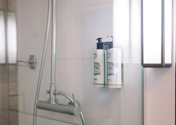 帕西埃菲尔酒店 酒店 3*